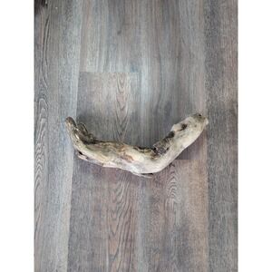 Driftwood So Cal CA Beach Ocean Wood Sculpture Root Art Landscape Garden Decor